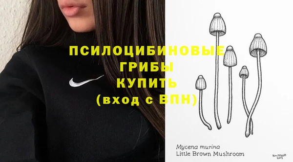 MESCALINE Арсеньев