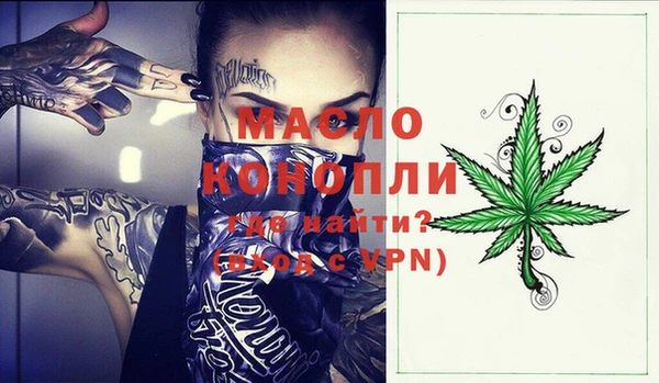 таблы Гусев