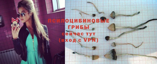 ГАЛЛЮЦИНОГЕННЫЕ ГРИБЫ Армянск