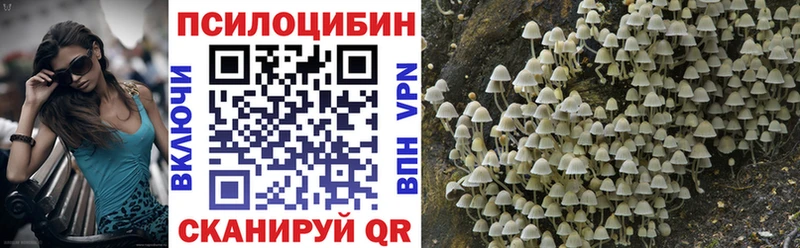 Галлюциногенные грибы мухоморы Новая Ладога