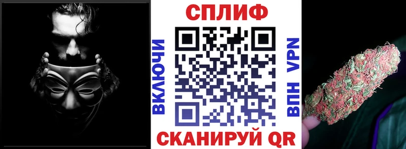Бошки Шишки THC 21%  OMG как войти  Новая Ладога 